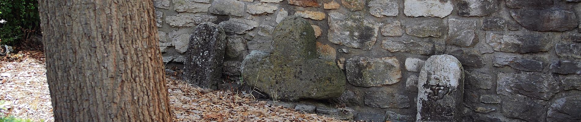 Tocht Te voet Bad Mergentheim - Liebliches Taubertal 15 - Photo