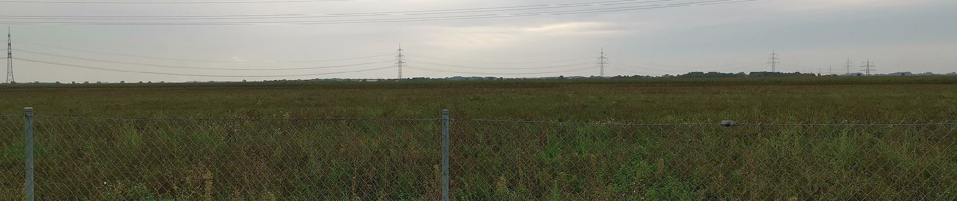 Randonnée A pied Oberschleißheim - Heidepfad - Mallertshofer Holz - Photo