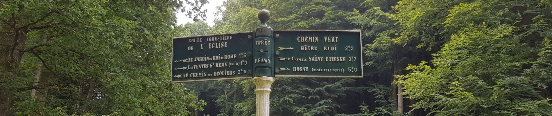Trail Walking Ventes-Saint-Rémy - Ventes St Remy 76 - Photo