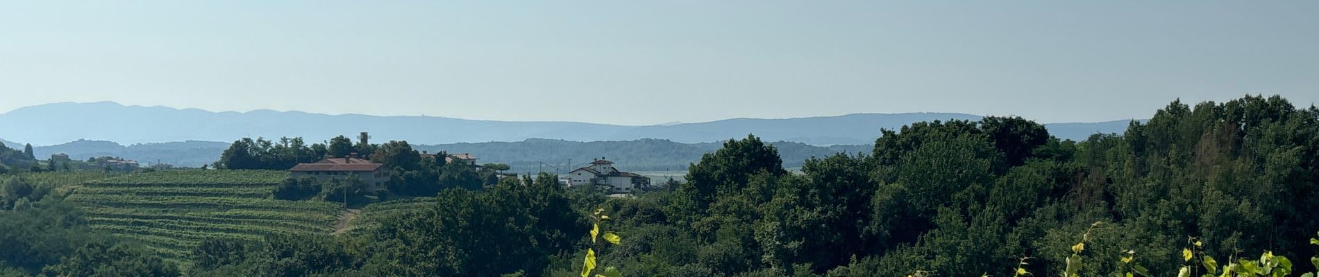 Tour Wandern Brda - Trail 7 Bjla Cpika - Photo