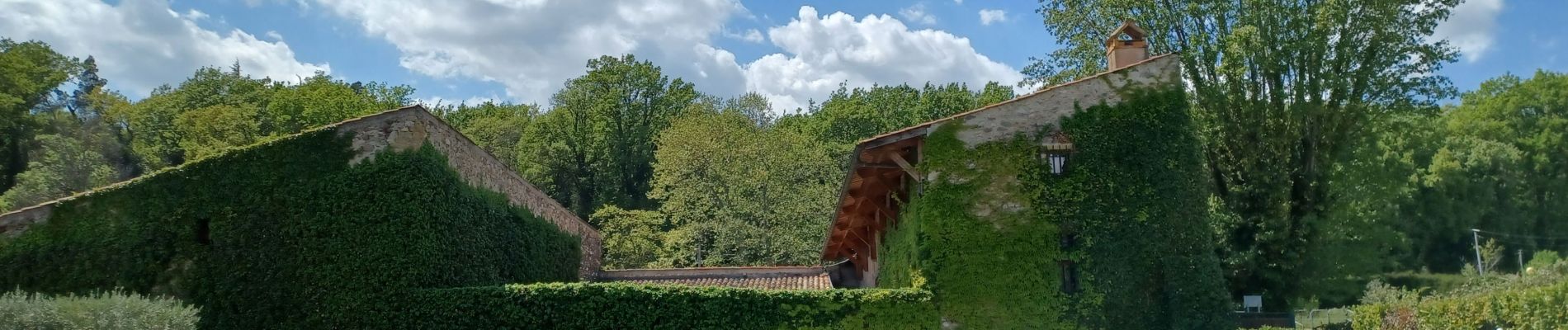 Tour Wandern Château-Arnoux-Saint-Auban - CHATEAU ARNOUX .  Chapelle S Jean o l - Photo