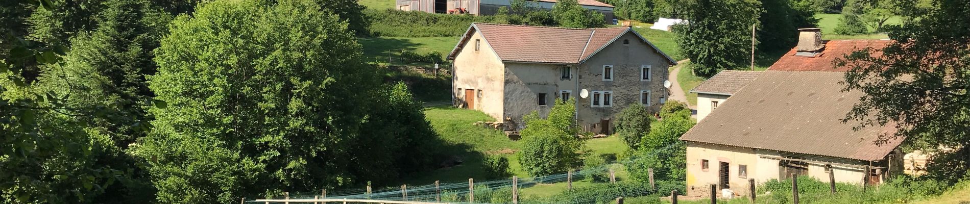 Randonnée Randonnée équestre Fougerolles-Saint-Valbert - Moulin taquere 7kms - Photo