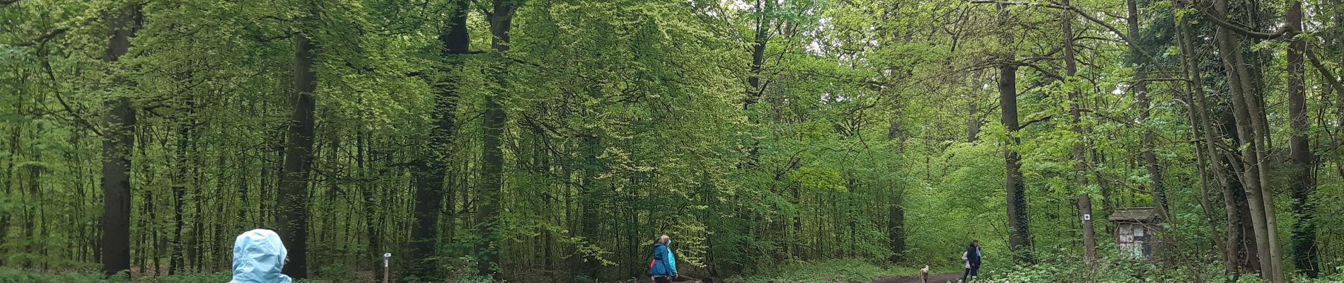 Trail Walking Namur - Béez adeps - Photo