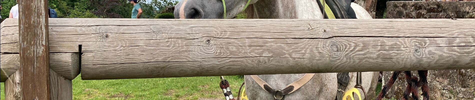 Trail Horseback riding Saverne - 1ere partie grotte de saint vit  - Photo