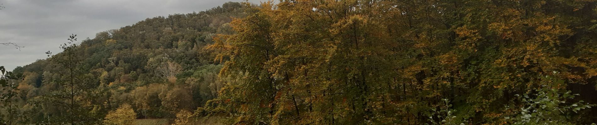 Tour Wandern Riemst - jour de ras le bol et de temps de merde  - Photo