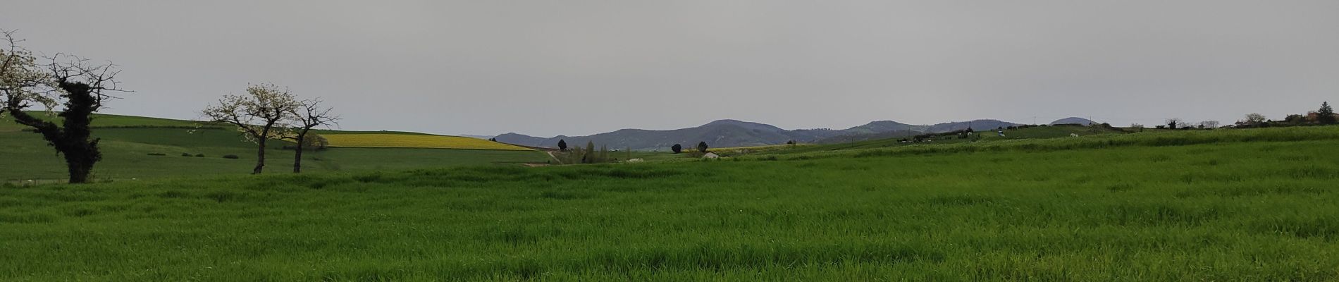 Tour Wandern Vindry-sur-Turdine - Autour de Saint loup  - Photo