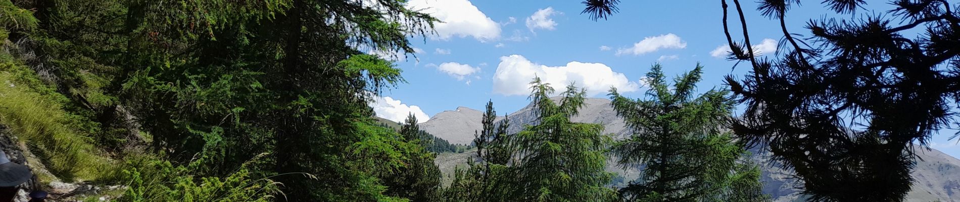 Randonnée Marche Allos - Allos:rando à partir de la Haute Colette - Photo