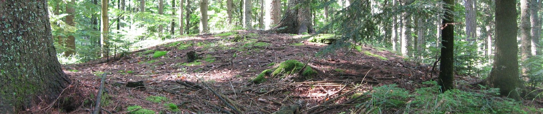 Tour Zu Fuß Ligist - Wanderweg 23 - Photo