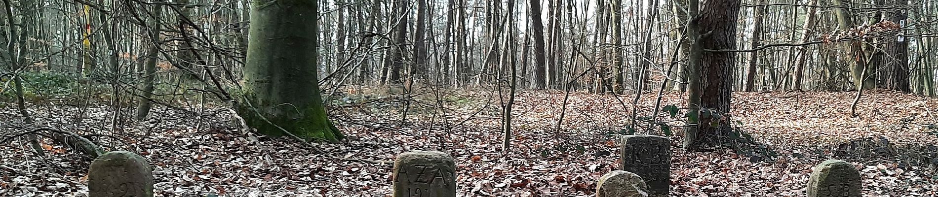 Percorso A piedi Freigericht - Somborn (Parkplatz Spessartblick) - Rundwanderweg Eichhörnchen - Photo