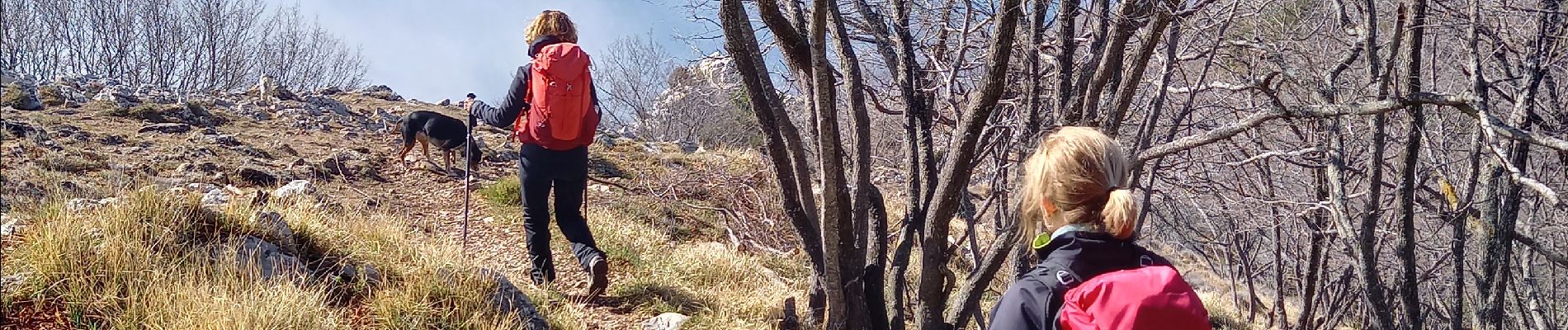 Tocht Stappen Peille - Cime de Baudon - Photo