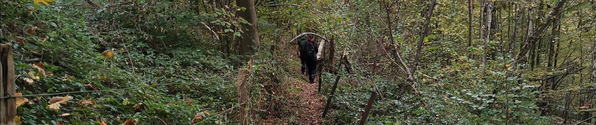 Trail Walking Dinant - ANSEREMME ... val de Lesse. - Photo