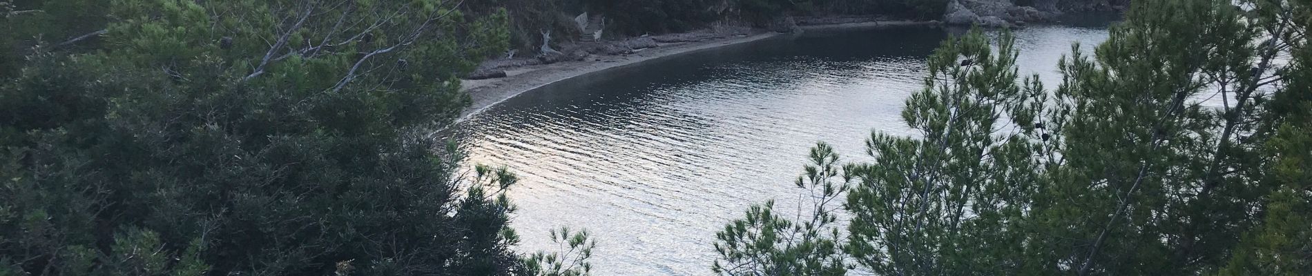 Tour Wandern Hyères - Presqu’île giens est - Photo