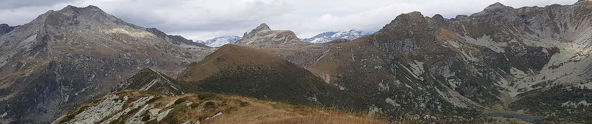 Percorso A piedi Crevoladossola - A07 - Preglia - Cima Lariè - Photo