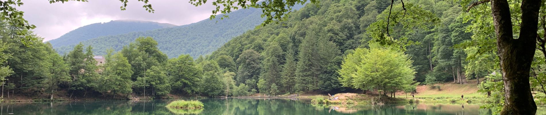 Tour Wandern Bethmale - Col de la core  - Photo