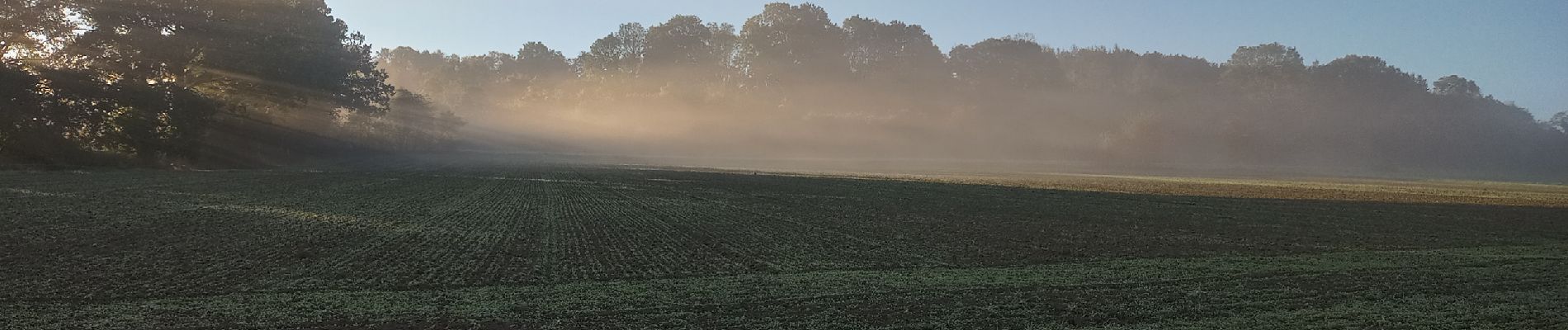 Randonnée Marche Durbuy - Autour d'IZier - Photo