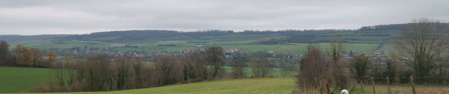 Randonnée Marche Meulers - meulers bois de Pimont freuleville - Photo