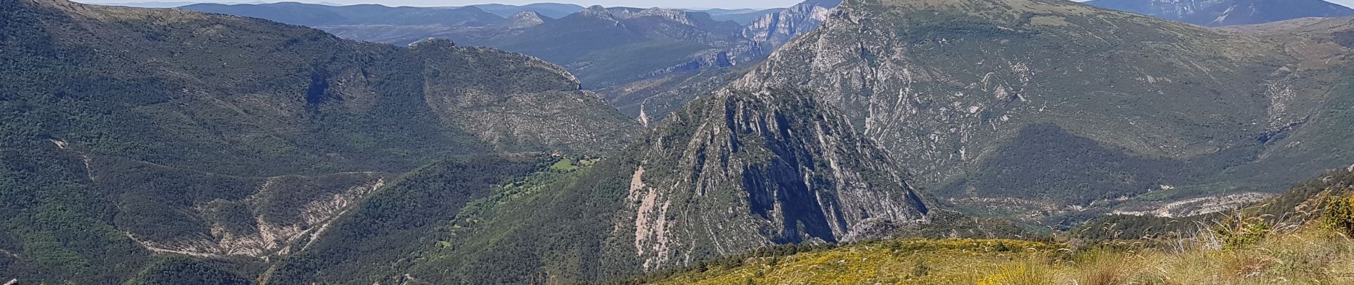 Tour Wandern Castellane - aza - Photo