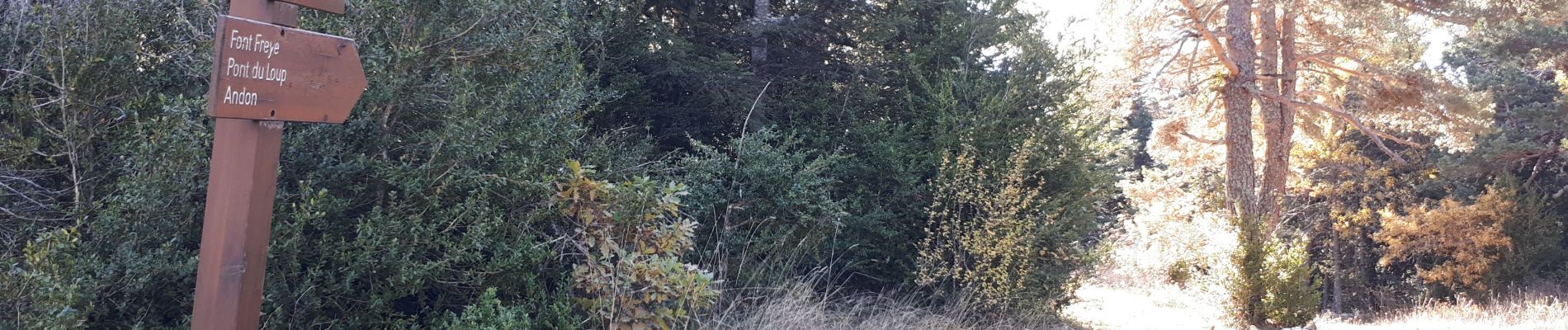 Tocht Stappen Andon - Pont du loup, Andon Castellaras - Photo