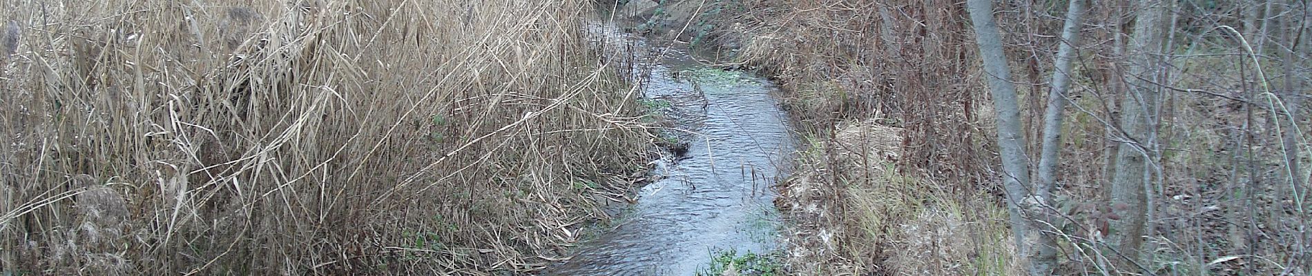 Tour Zu Fuß Karlstein am Main - Kulturweg Karlstein - Photo