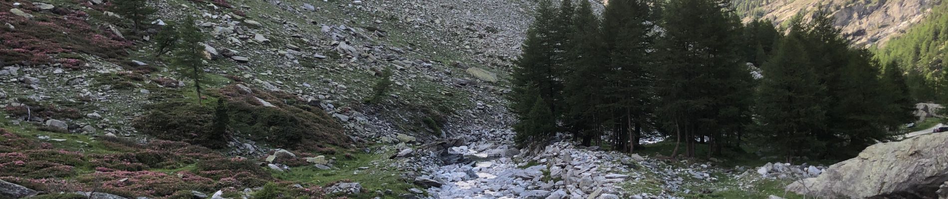 Excursión Senderismo Val-Cenis - Lac Noir à Bramans  - Photo