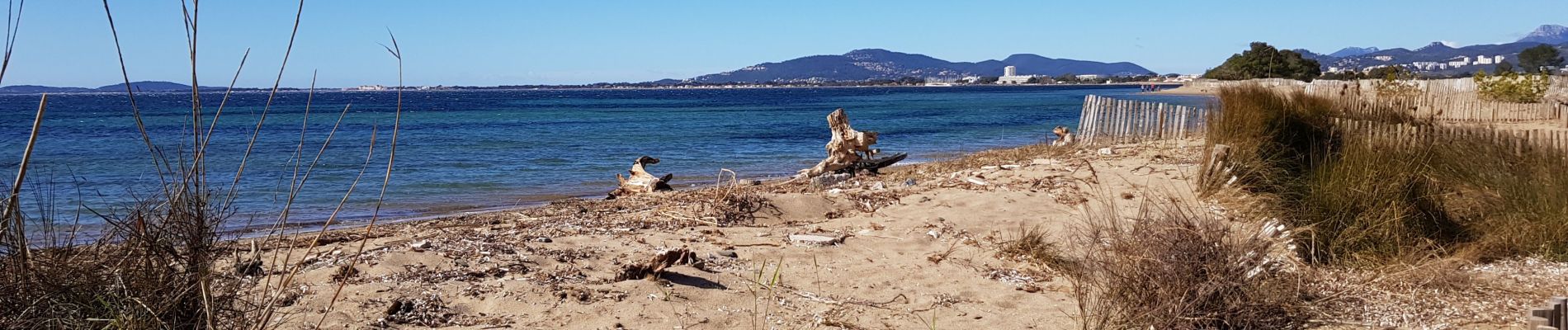 Excursión Senderismo Hyères - AR Les Salins - La Londe - Photo