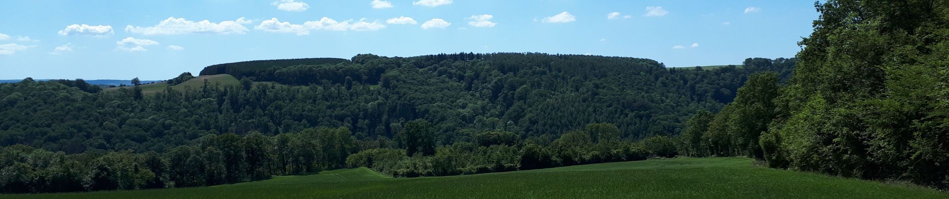 Trail Walking Durbuy - Jenneret-Ouffet - Photo