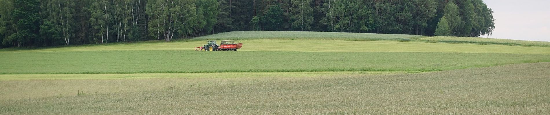 Tocht Te voet Marktredwitz - DE-3 - Photo