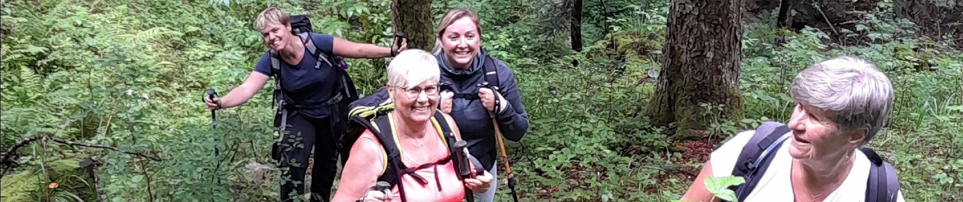 Tocht Stappen Corbonod - GRAND COLOMBIER: SUR LYAND - CHARBEMENES PAR LES CRETES - ARVIERES par la 