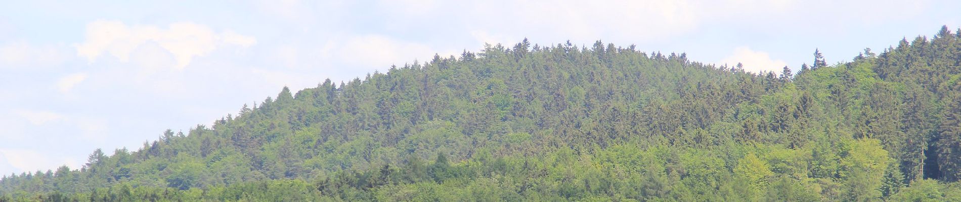 Tocht Te voet Linsengericht - Linsengerichter Rundwanderweg Nr.4 - Photo