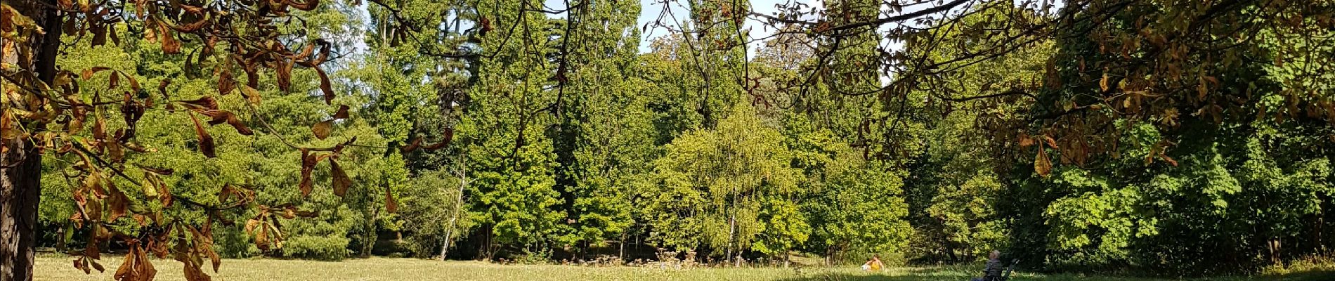 Tocht Stappen Parijs - Vincennes lac de gravelle  - Photo