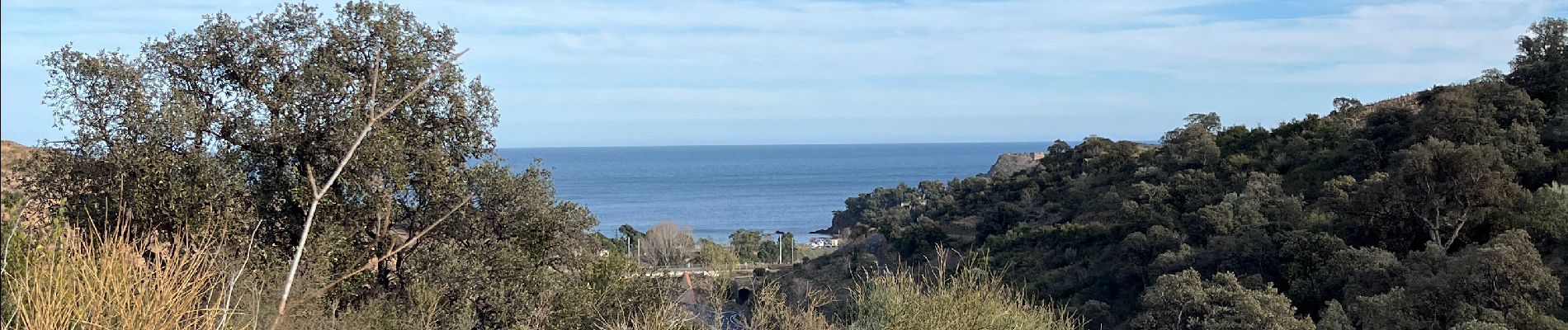 Tocht Stappen Port-Vendres - Cosprons - Photo