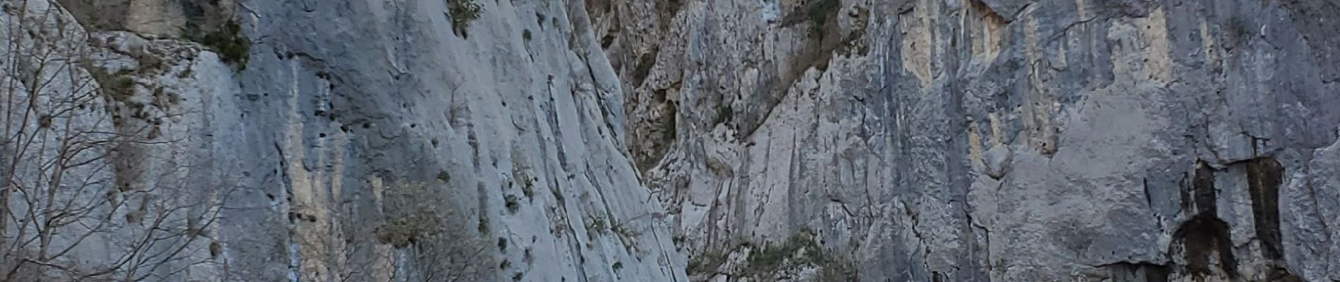 Tocht Stappen La Palud-sur-Verdon - verdon - Photo