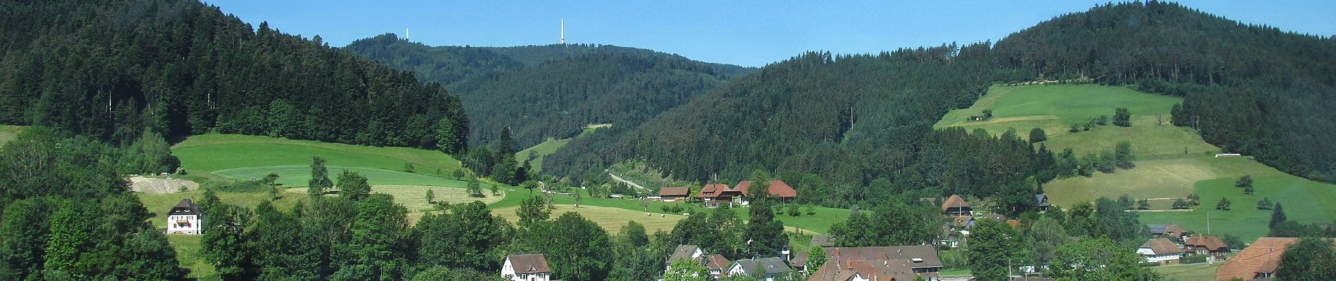 Randonnée A pied Gutach (Schwarzwaldbahn) - Gutach 5: Baumpfad - Photo
