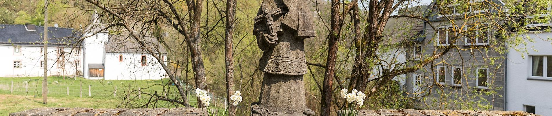 Randonnée A pied Dahlem - Kronenburg Rundweg KB11 - Photo