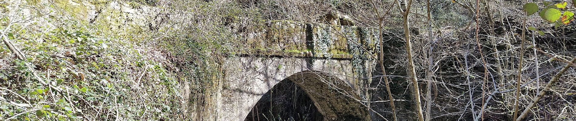 Percorso A piedi Cantagallo - Sentiero CAI 38A - Sez. Prato - Photo