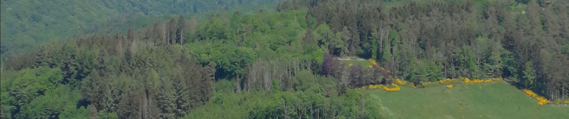 Trail Walking Bouillon - Rochehaut - Photo