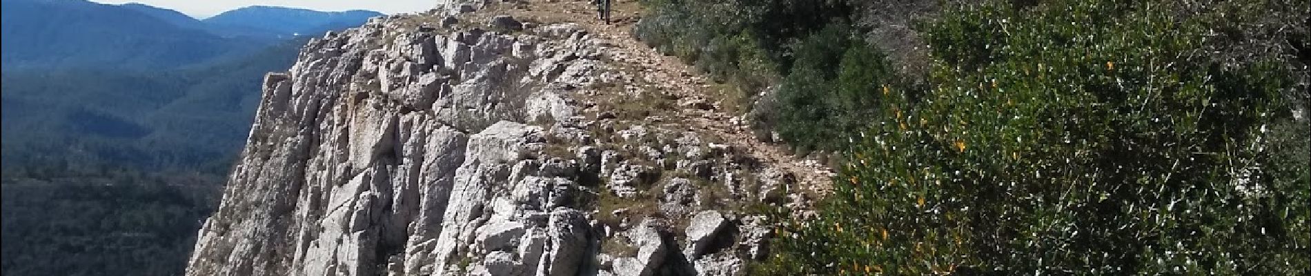 Excursión Bici de montaña La Roquebrussanne - Barres de Cuers - Photo