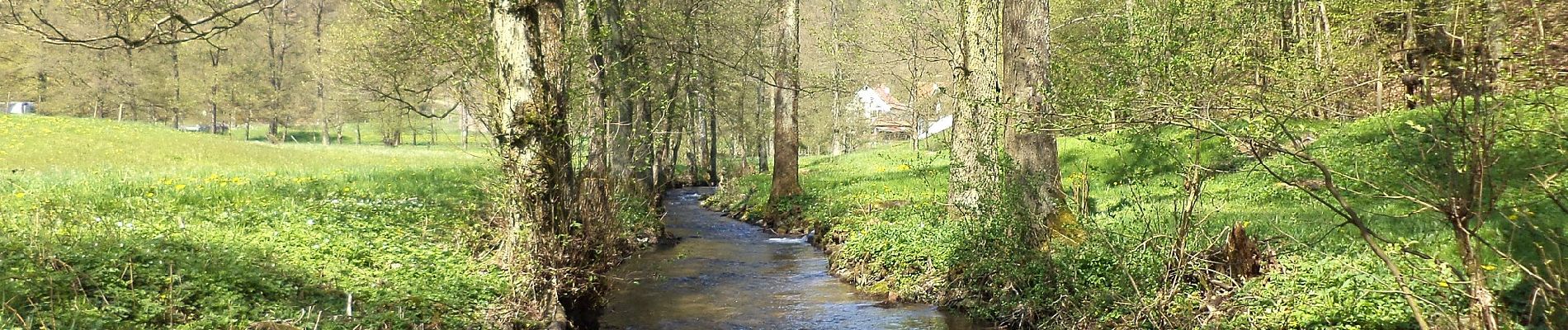 Tour Zu Fuß Schollbrunn - Kulturweg Schollbrunn - Photo