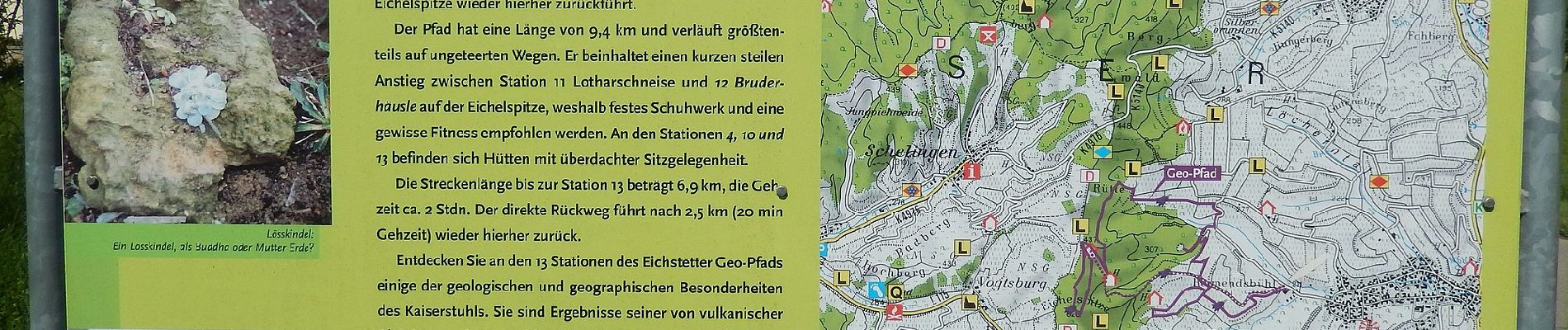Tocht Te voet Eichstetten - Geo-Pfad Eichstetten - Photo