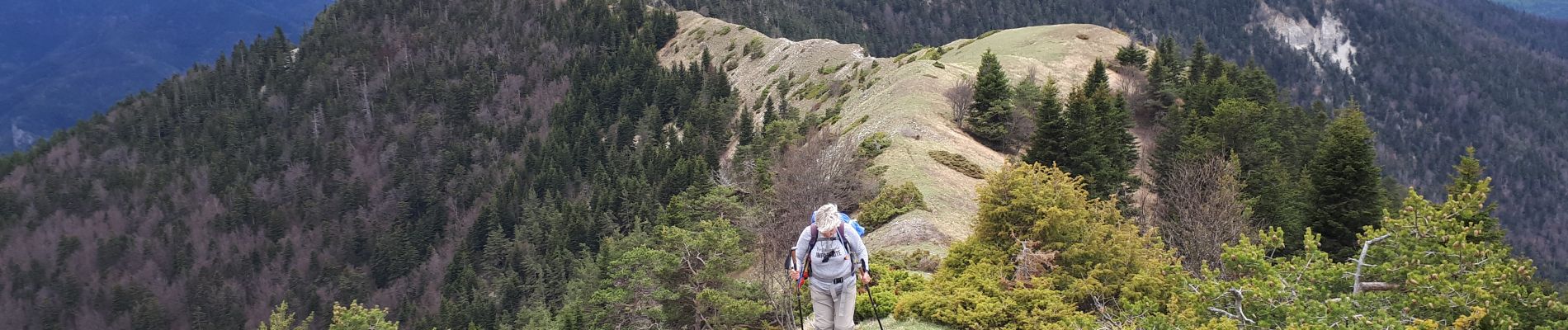 Tour Wandern Châtillon-en-Diois - Serre Chomiĺle - Les Nonnières - Photo