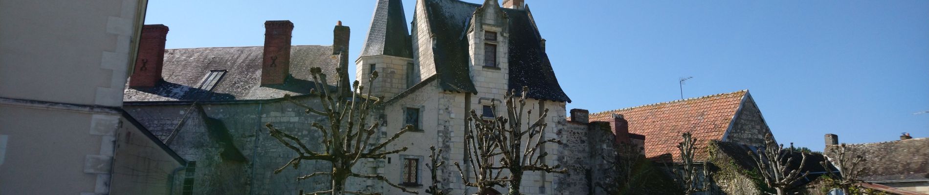 Excursión Senderismo Coteaux-sur-Loire - Saint-Michel-sur-Loire - GRP Coteaux de Bourgueil Saint-Patrice - 21.7km 240m 4h45 (35mn) - 2023 04 19 - Photo