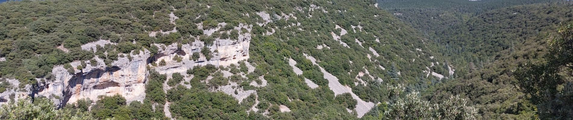 Tour Wandern Flassan - Sentier des Cochons - Photo