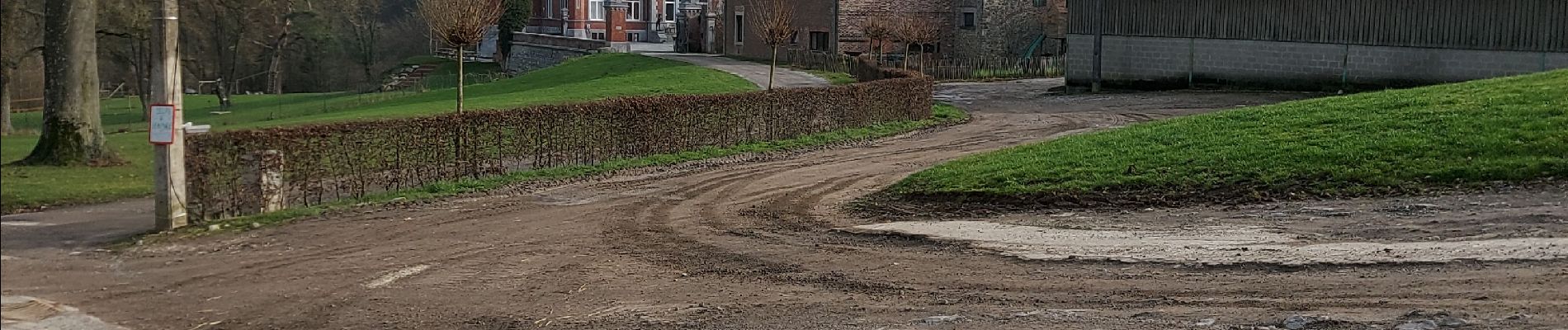 Tocht Stappen Namen - WIERDE _ Marche Adeps _ NA _ 29/01/2023 - Photo