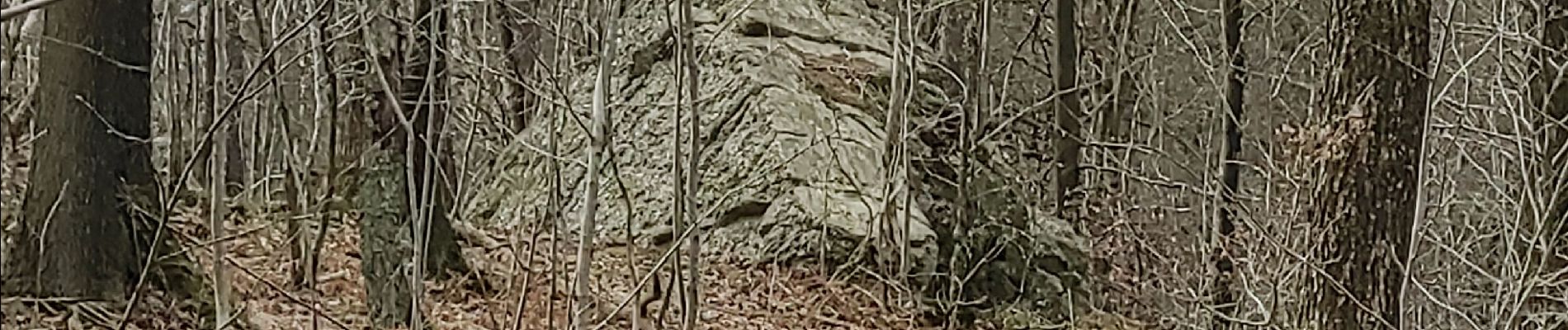 Randonnée Marche Durbuy - ballade autour des menhirs, dolmens et pierres de légendes de Weris - Photo