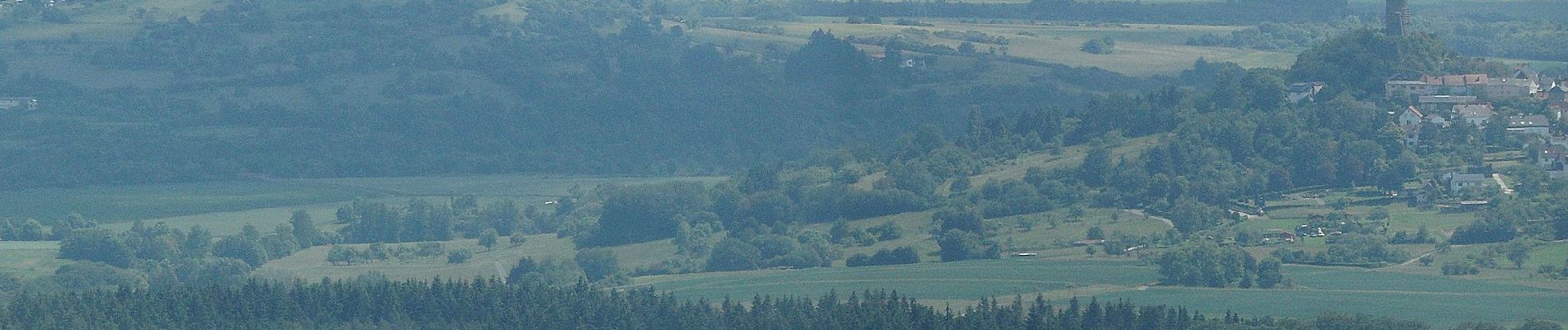 Tocht Te voet Biebertal - Forstweg - Photo