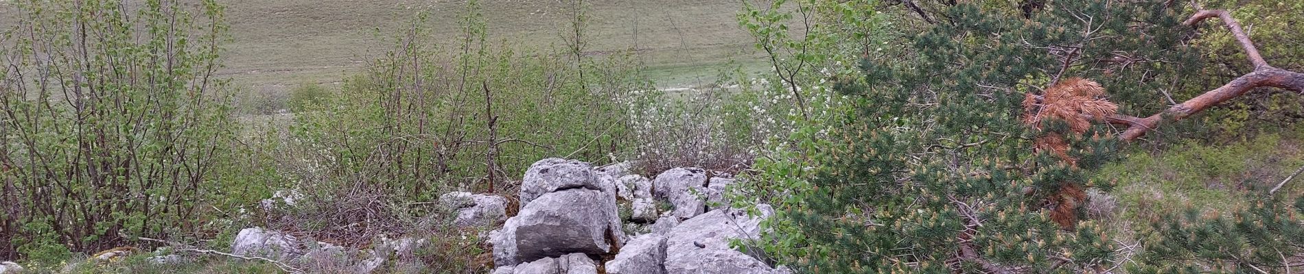 Tocht Stappen Caussols - caussols - Photo