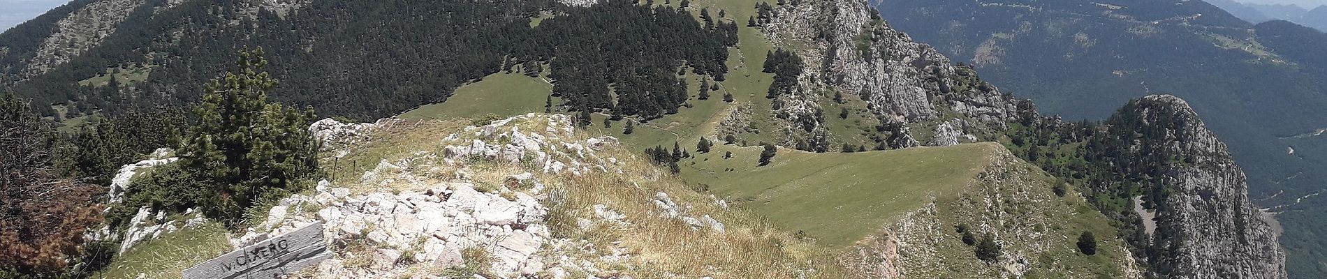 Percorso A piedi Bellver de Cerdanya - Pic del Moixeró - Photo