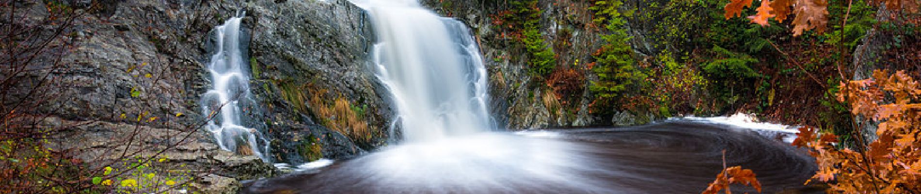 Trail Walking Waimes - Cascade du Bayehon 4KM - Photo