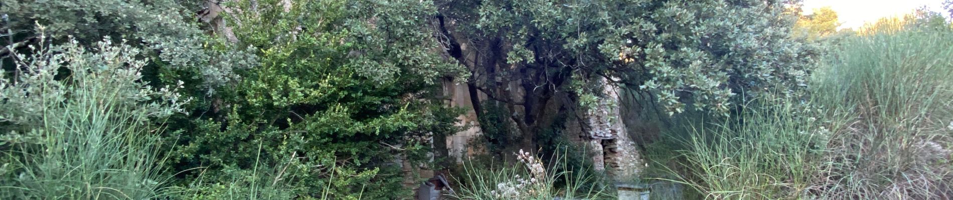 Tour Wandern Eyguières - Petit tour sur le gros calan - Photo