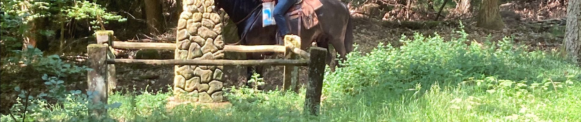 Tour Reiten Reipertsweiler - Acpl chez Pauline 2 - Photo